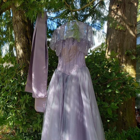 Prom / Grad Dress - Picture 11 of 16